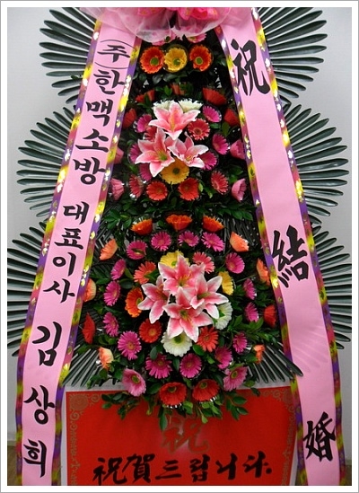 뱸ϱ ȭȯ
