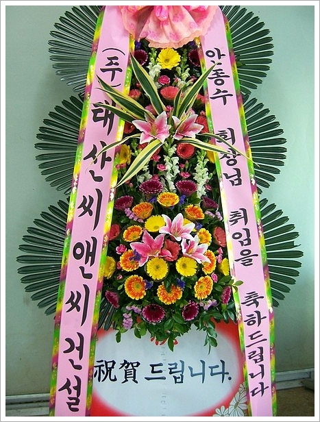 뱸 ȭȯ