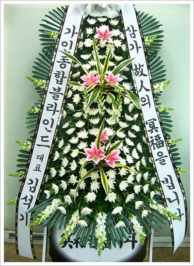 뱸 ȭȯ