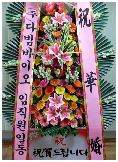뱸 3ȭȯ