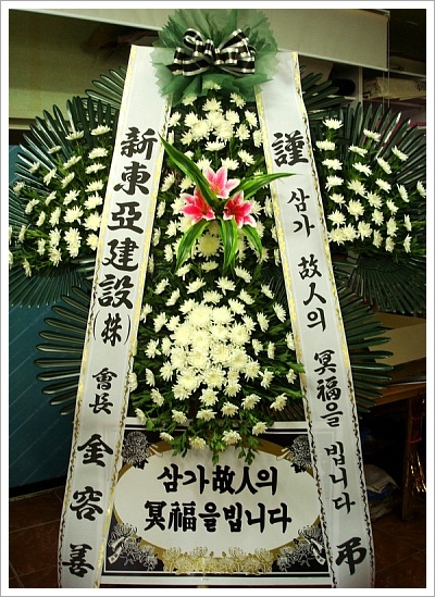 뿵 5ȭȯ