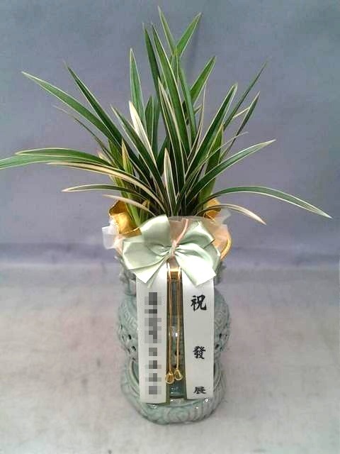 Ȳäȫ