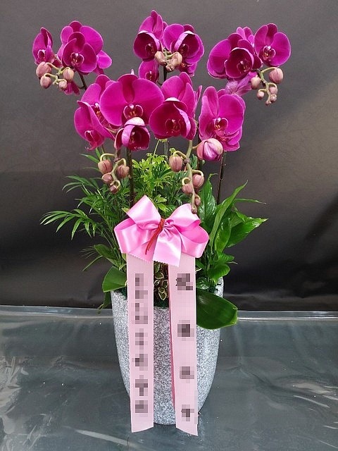 糭