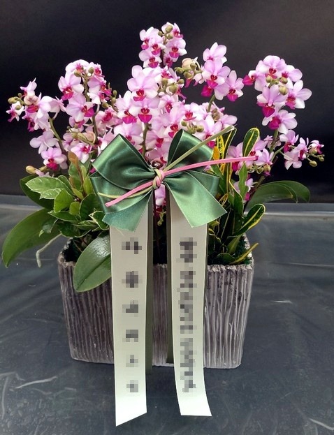 糭