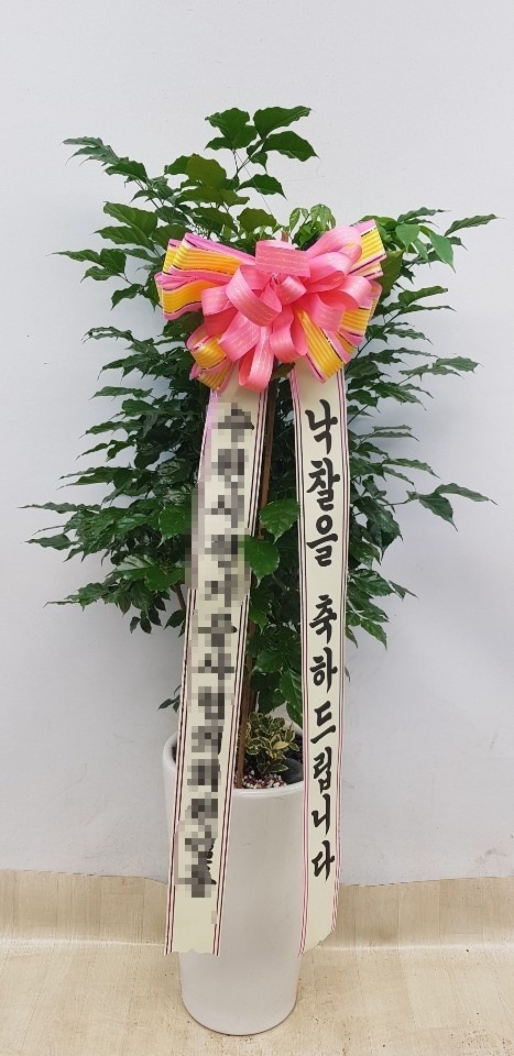 캸
