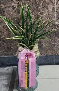 糭 