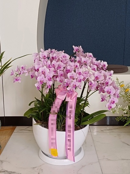 糭 
