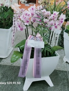 糭 