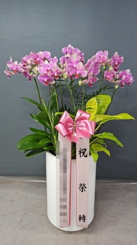 糭 