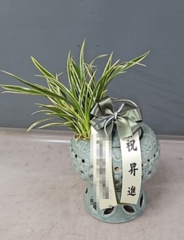 뱹ڱ