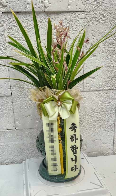 糭 