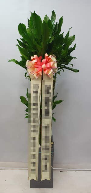 Ȳ