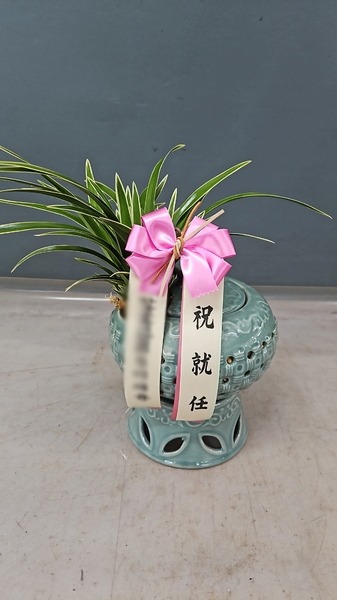 뱹ڱ